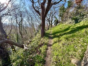 Photo 55- click for photo gallery